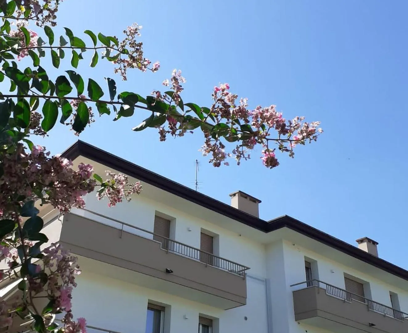 Appartamento Casanita Abano Terme